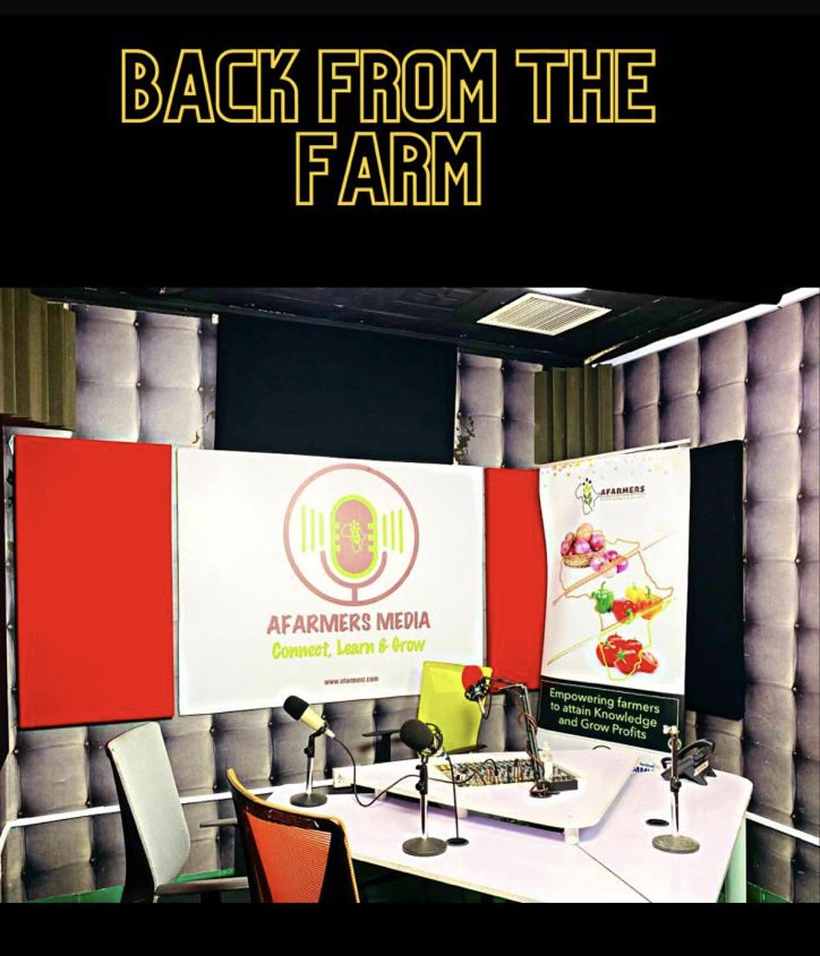 On set for the Back from the Farm show in the AFarmers studio