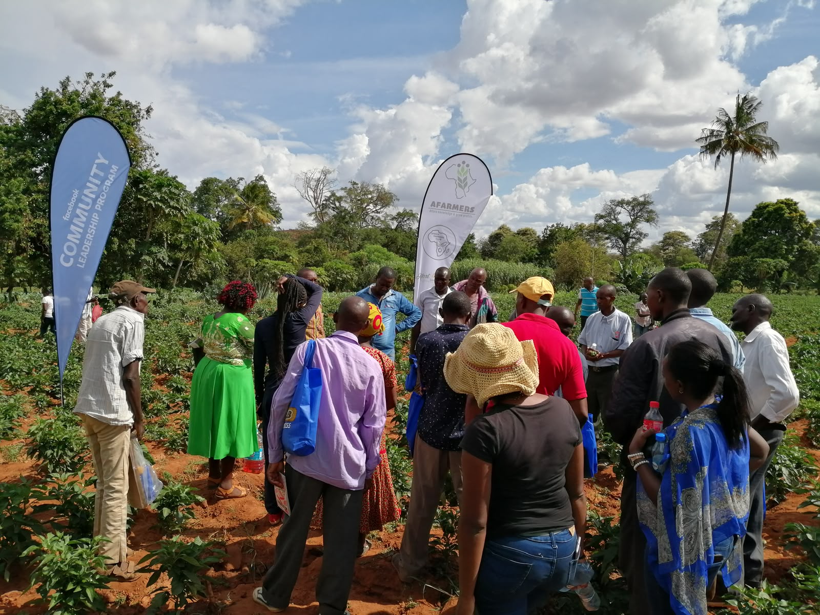 Farmers gathered at an AFarmers field day in a vegetable field