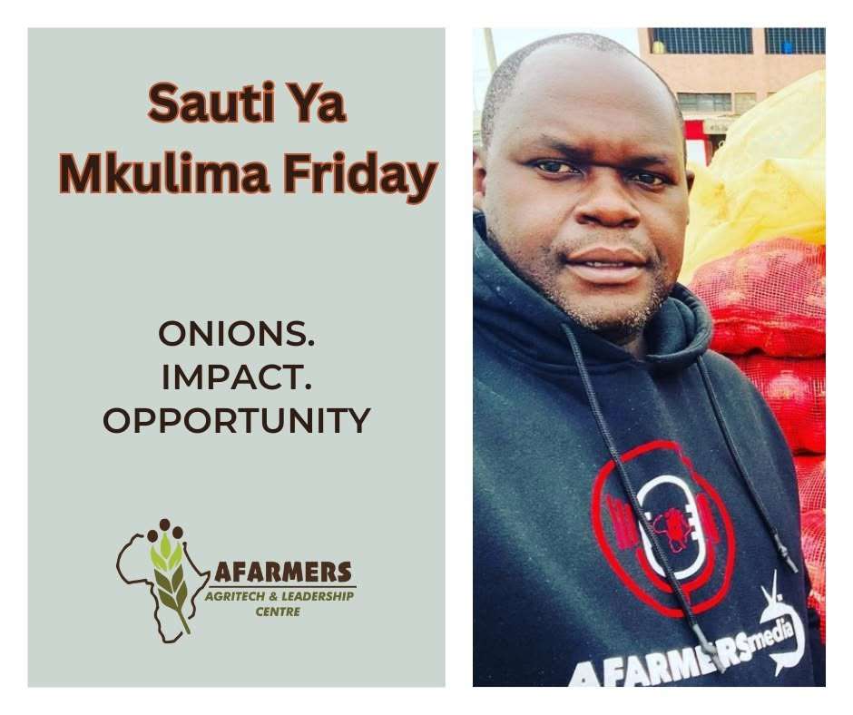 Sauti ya Mkulima Friday graphic on onion farming opportunity
