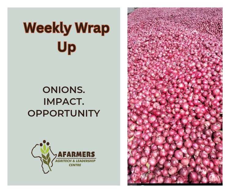 Weekly Wrap Up graphic on the onion farming opportunity