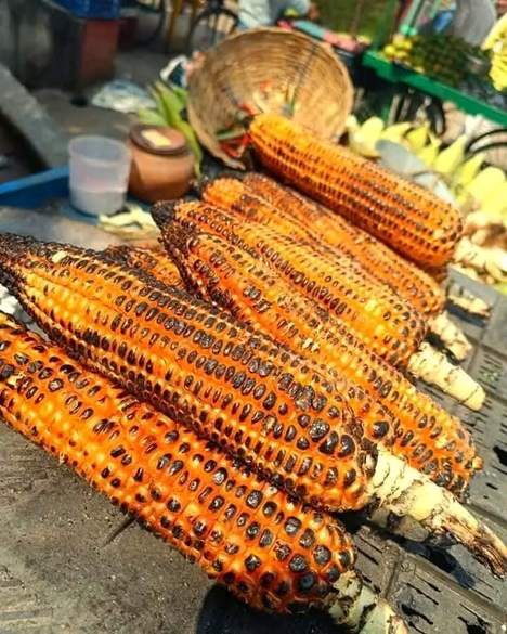 Roasted maize cobs at a street vendor's stall