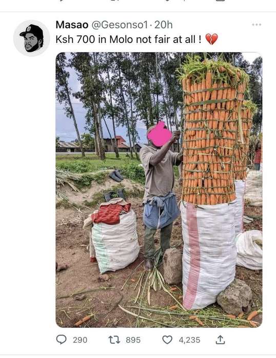 A social media post showing a Molo farmer's carrot harvest priced at KSh 700