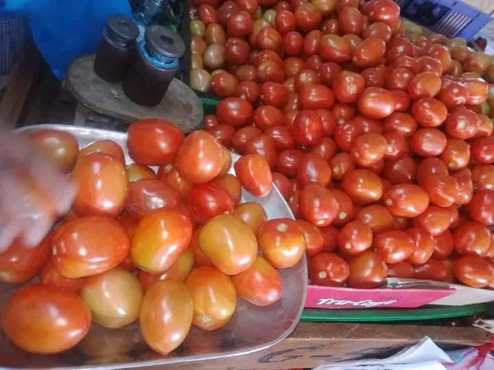 Tomatoes displayed on a market stall tray